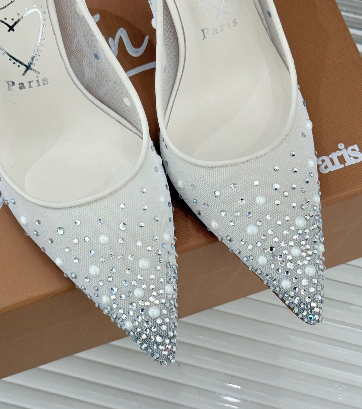 Miss Z Degrastrass Perla