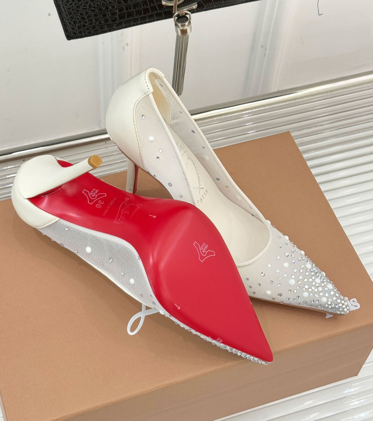 Miss Z Degrastrass Perla