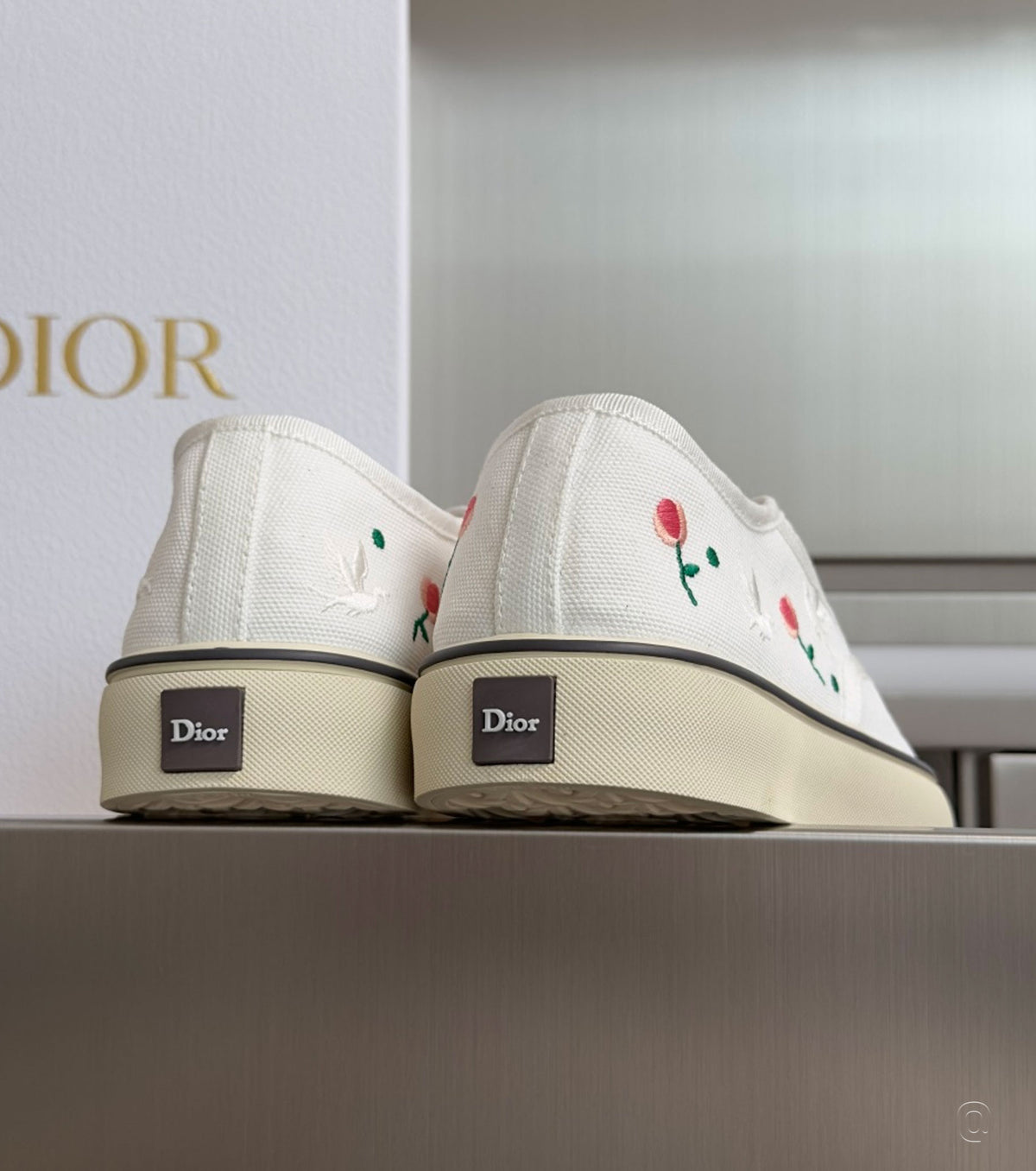 Dioramour Saltwind Sneaker