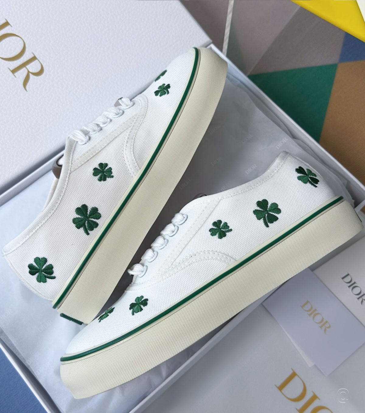 Dioramour Saltwind Sneaker