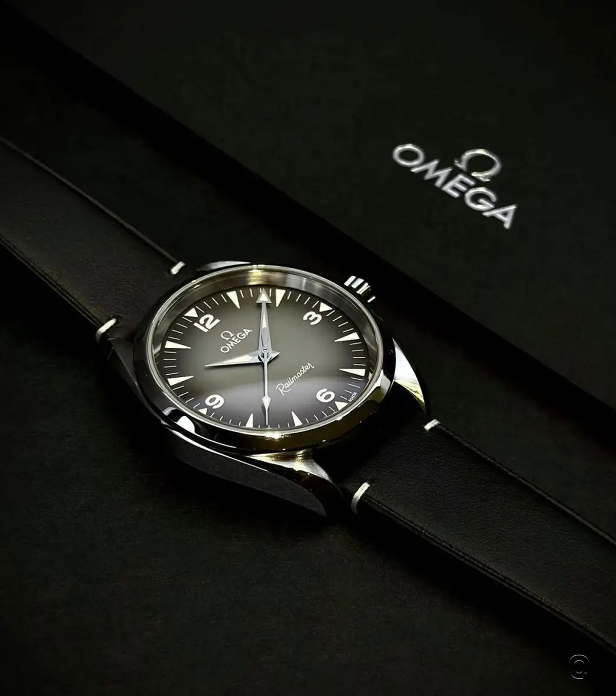 Seamaster Railmaster