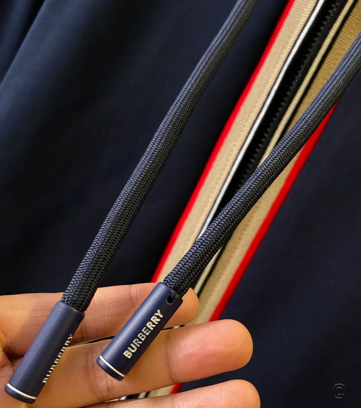 Icon Stripe Zip Hoodie