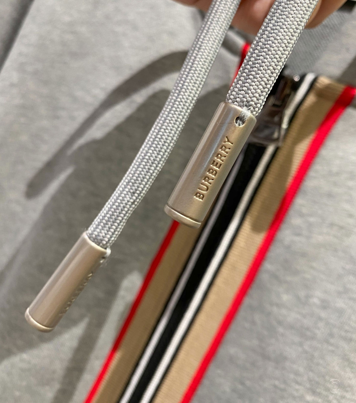 Icon Stripe Zip Hoodie