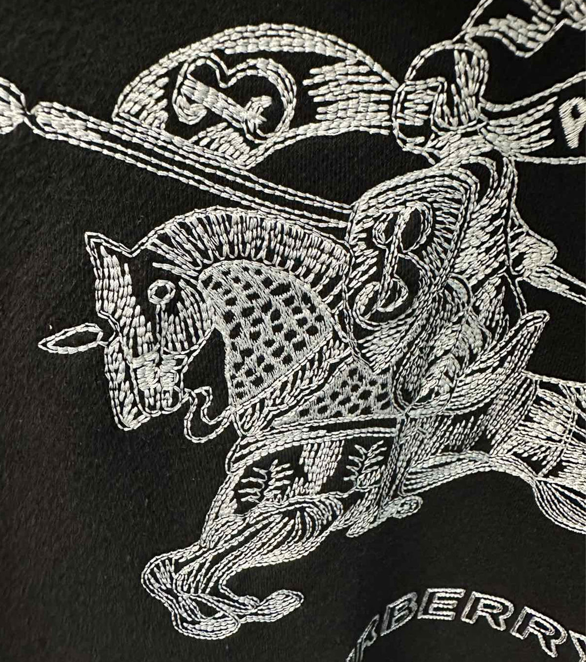 Embroiderd Men Hoodie