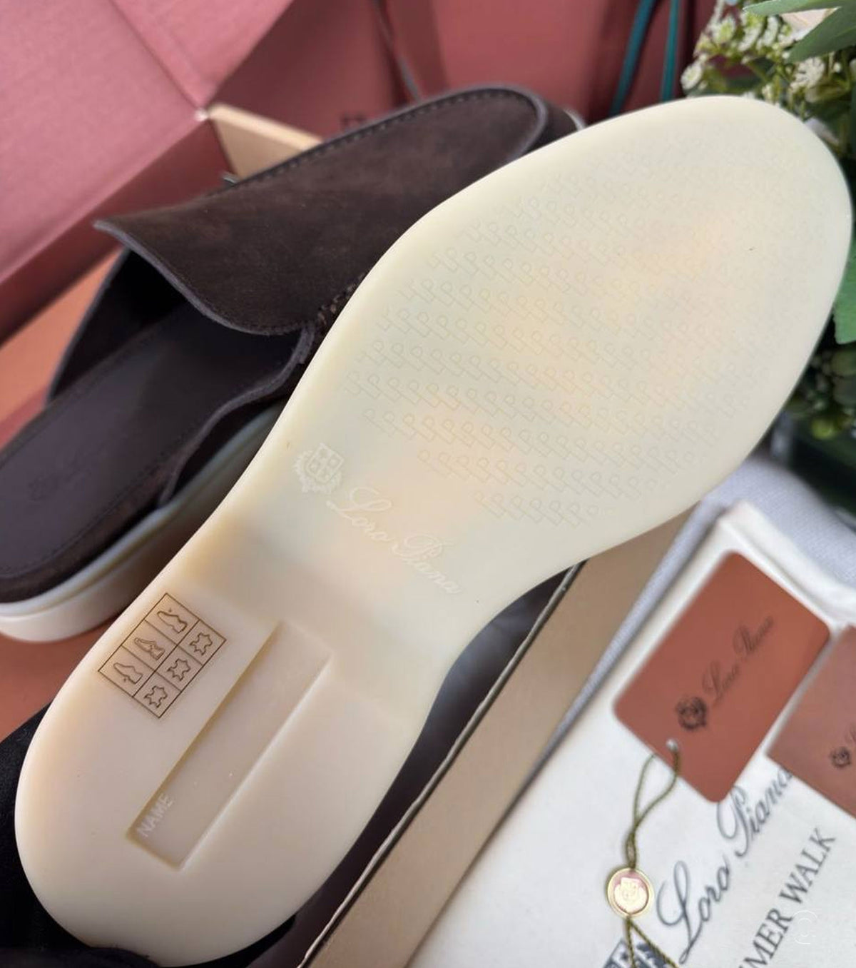 Summer Walk The Gift of Kings Loafer