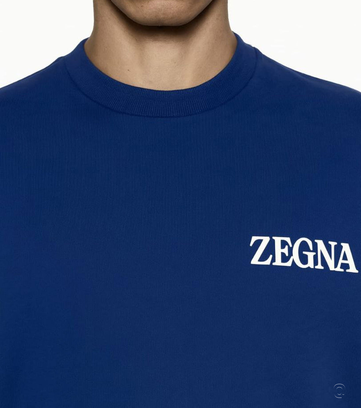 Rubberised-logo sweatshirt ZEG2520