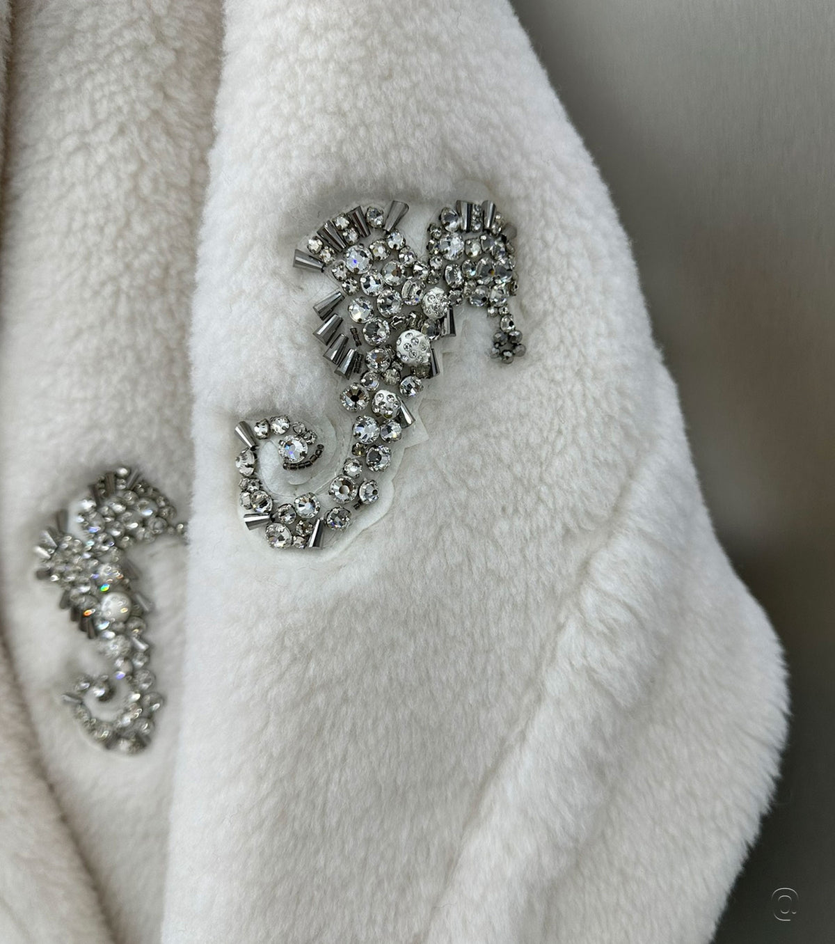 Women Teddy Bear coat