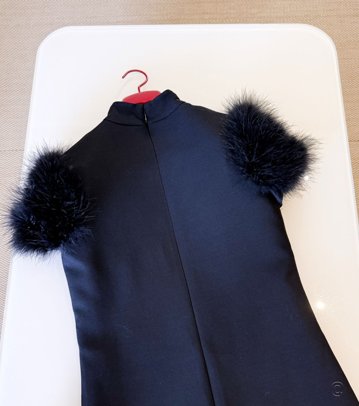 Mini dress with feather sleeves