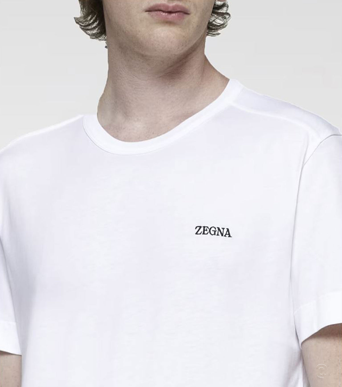 Logo Cotton T-Shirt ZEG2001