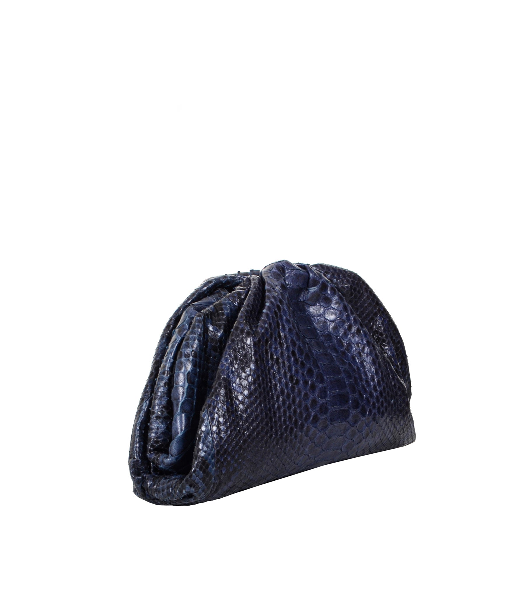 The Pouch Python Clutch