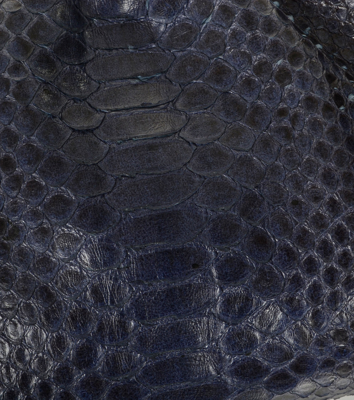 The Pouch Python Clutch