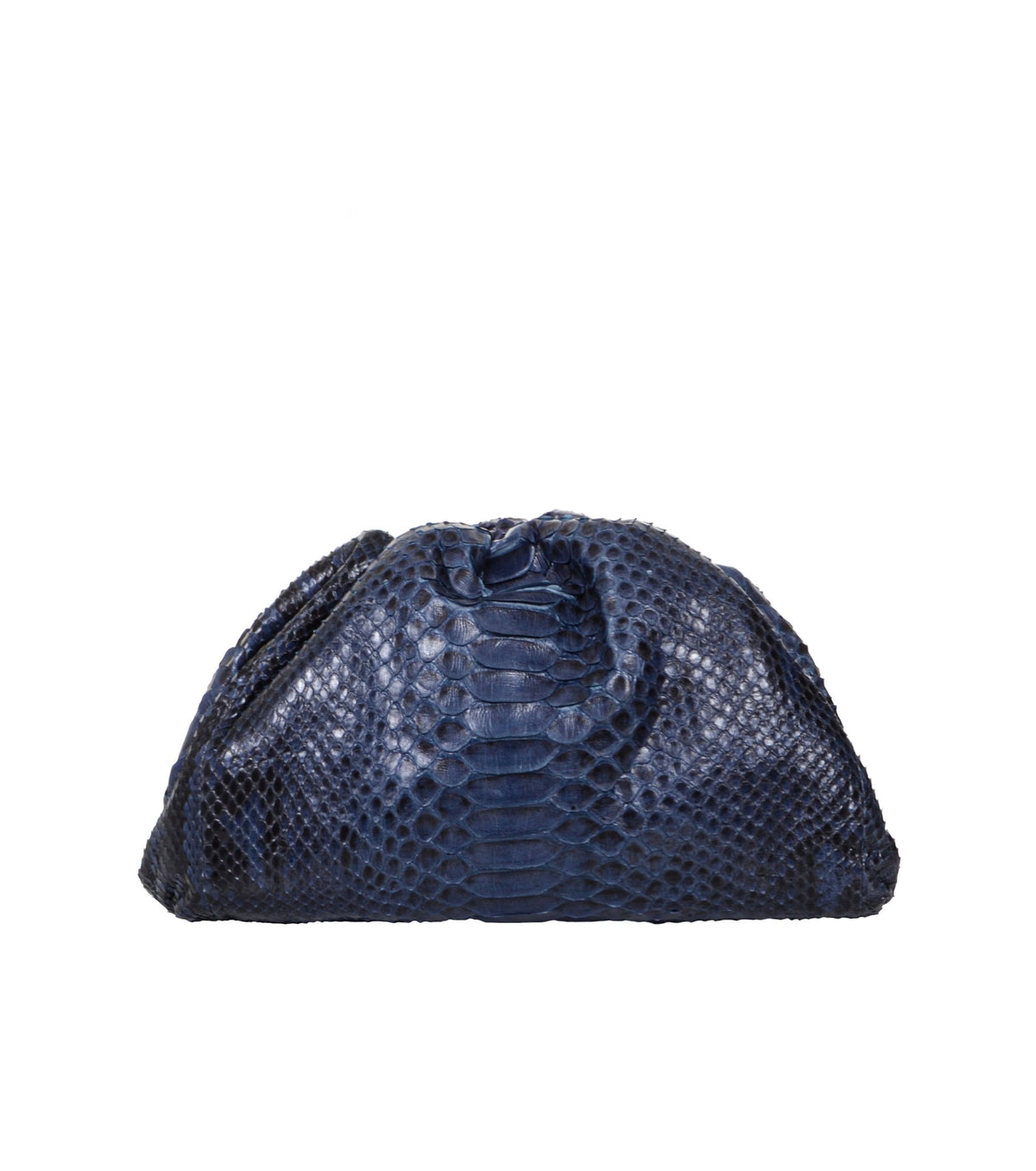The Pouch Python Clutch