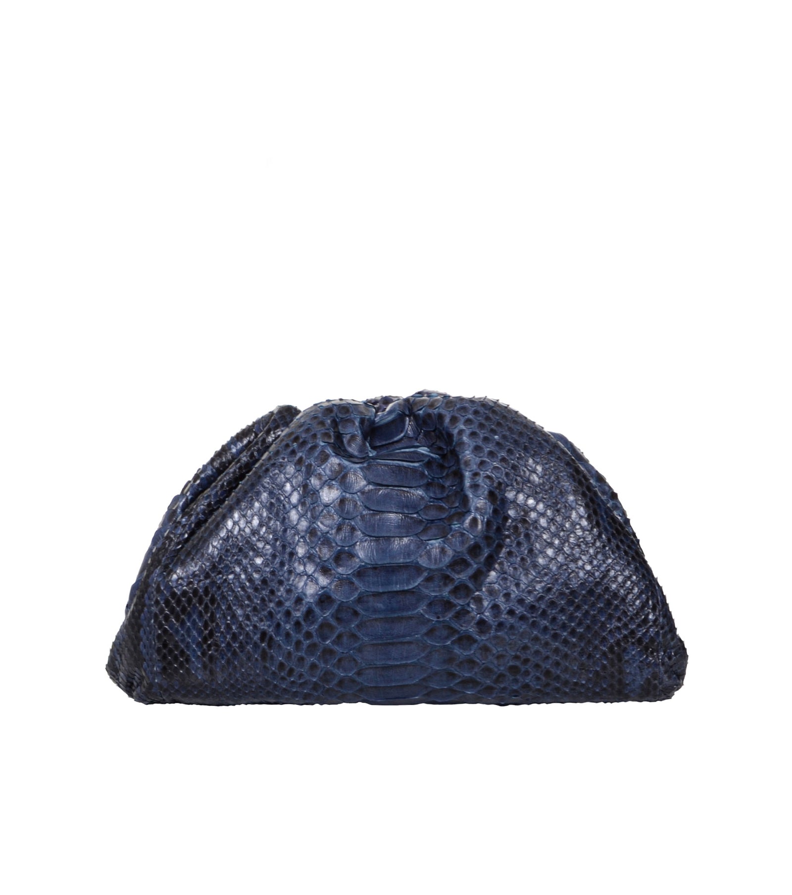 The Pouch Python Clutch