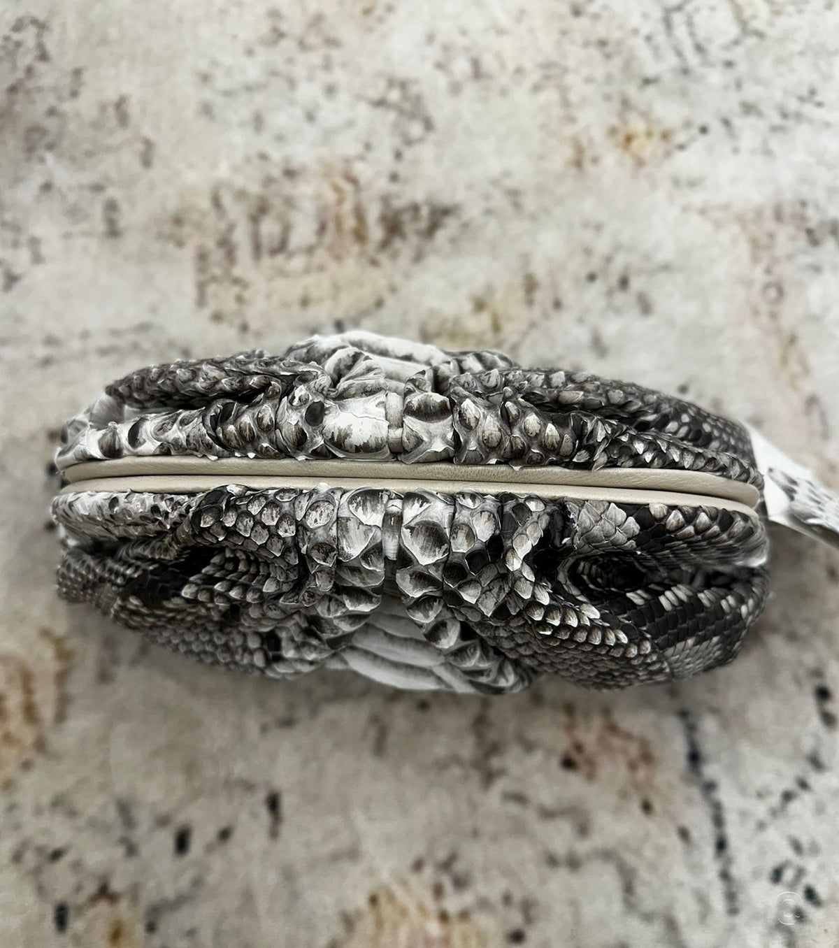 The Pouch Python Clutch