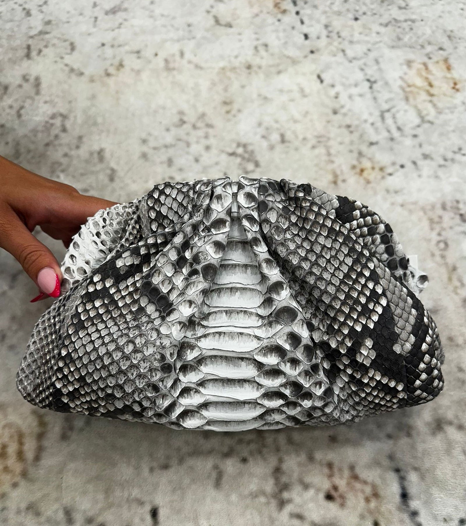 The Pouch Python Clutch