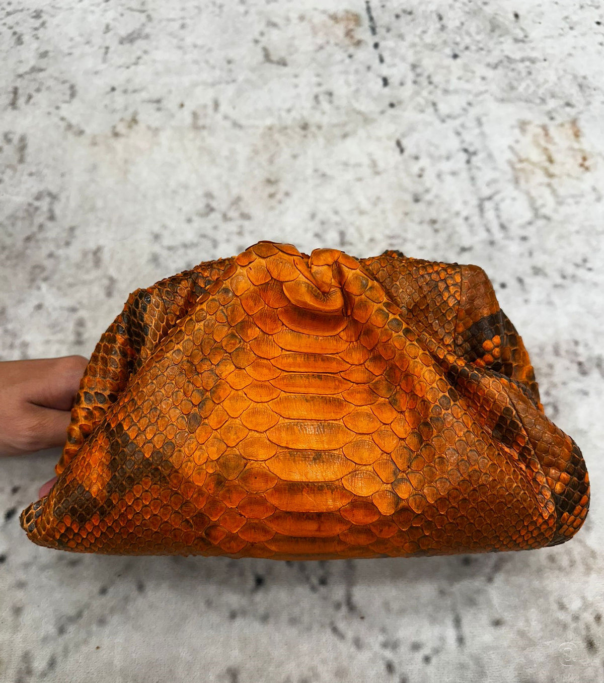 The Pouch Python Clutch