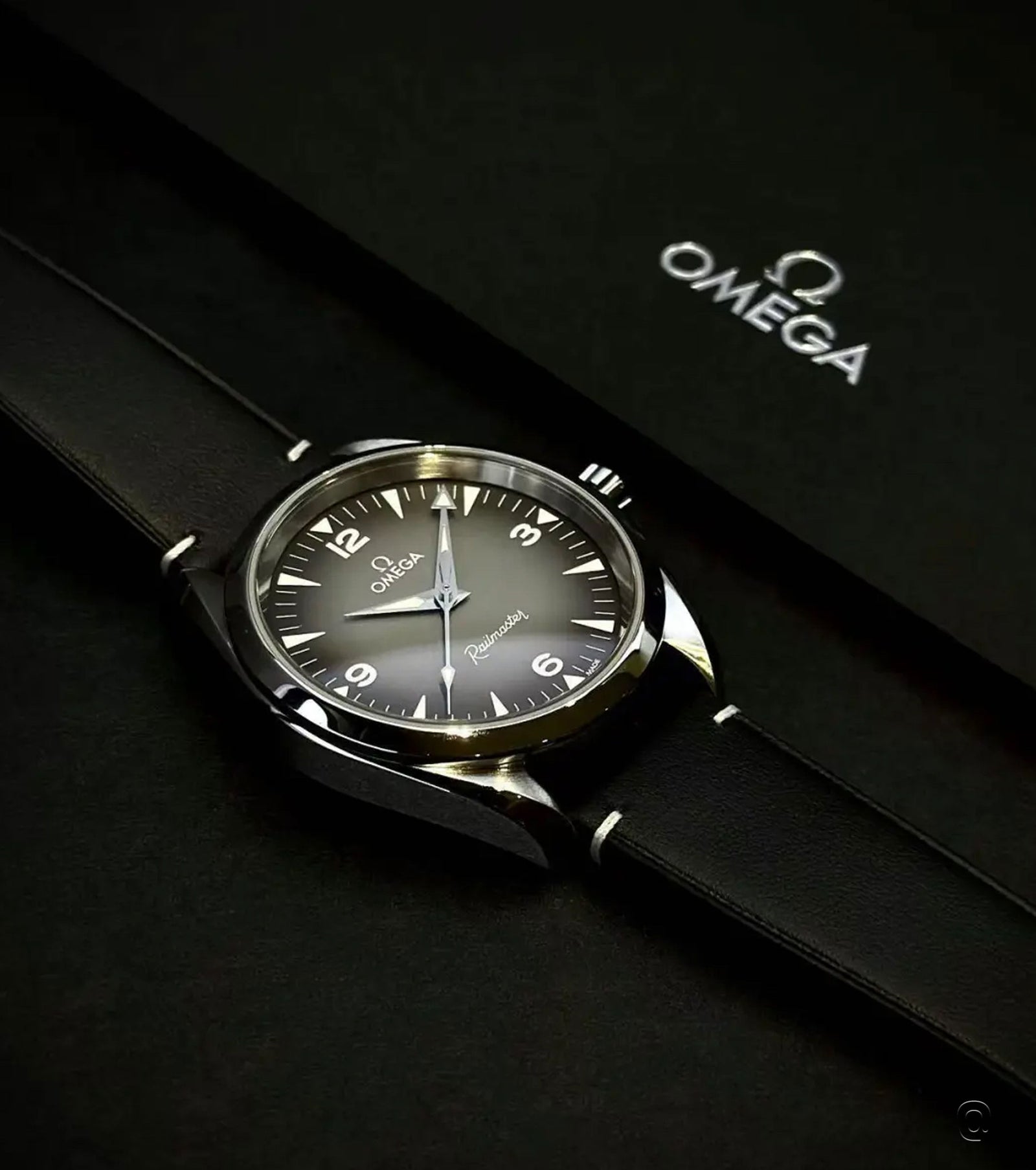 Seamaster Railmaster