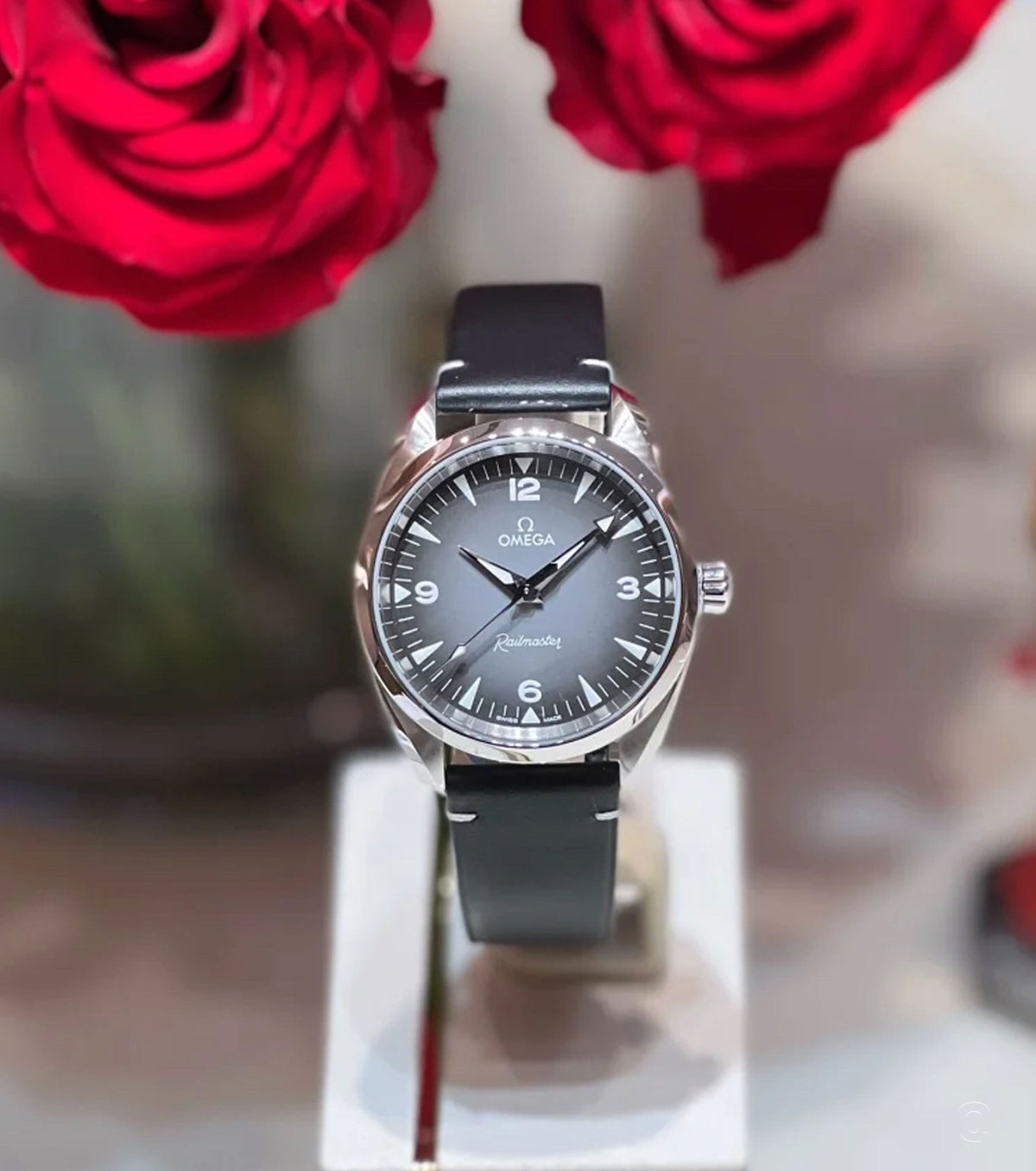 Seamaster Railmaster