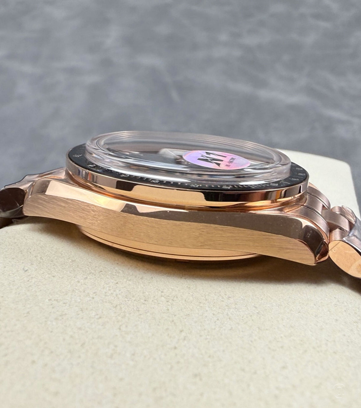 Speedmaster Professional Moonwatch