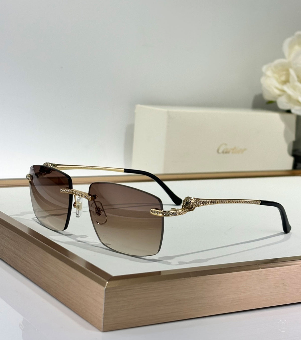 Panthère