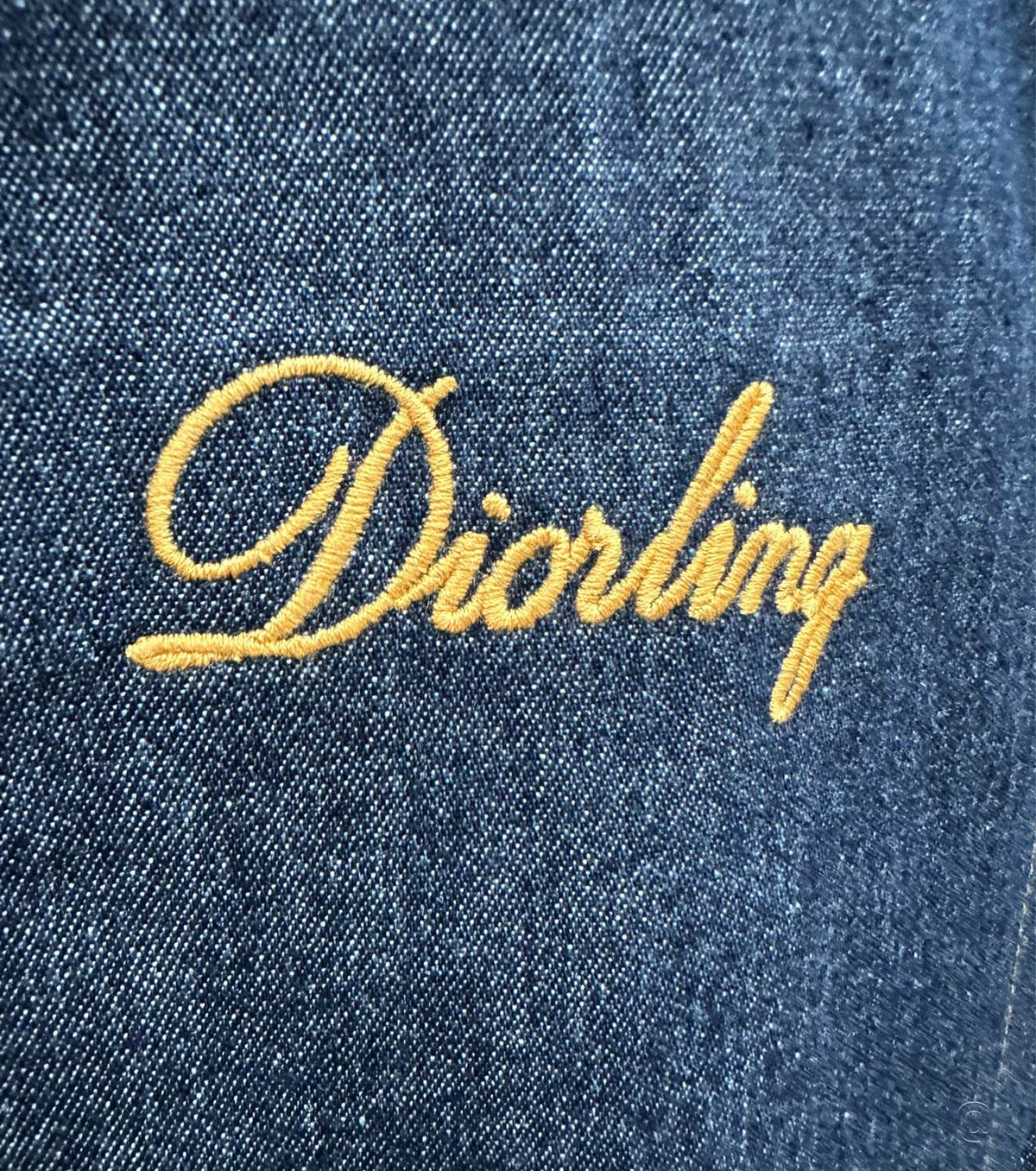Яке Diorling Blouson