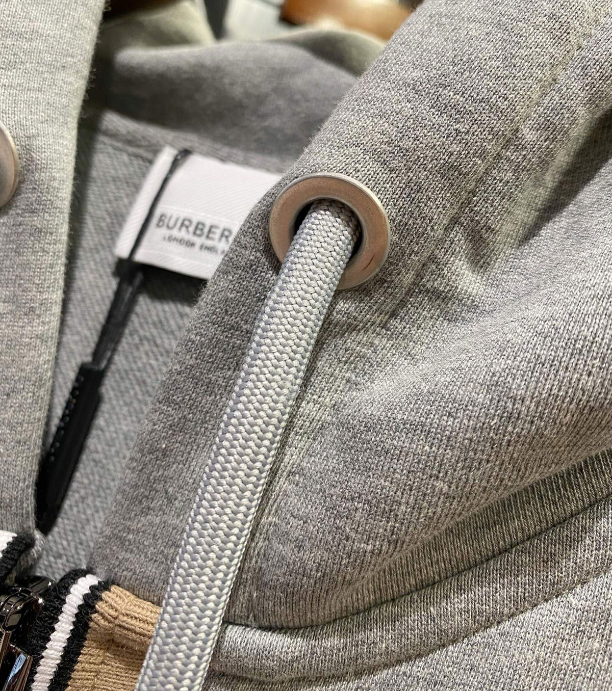 Icon Stripe Zip Hoodie