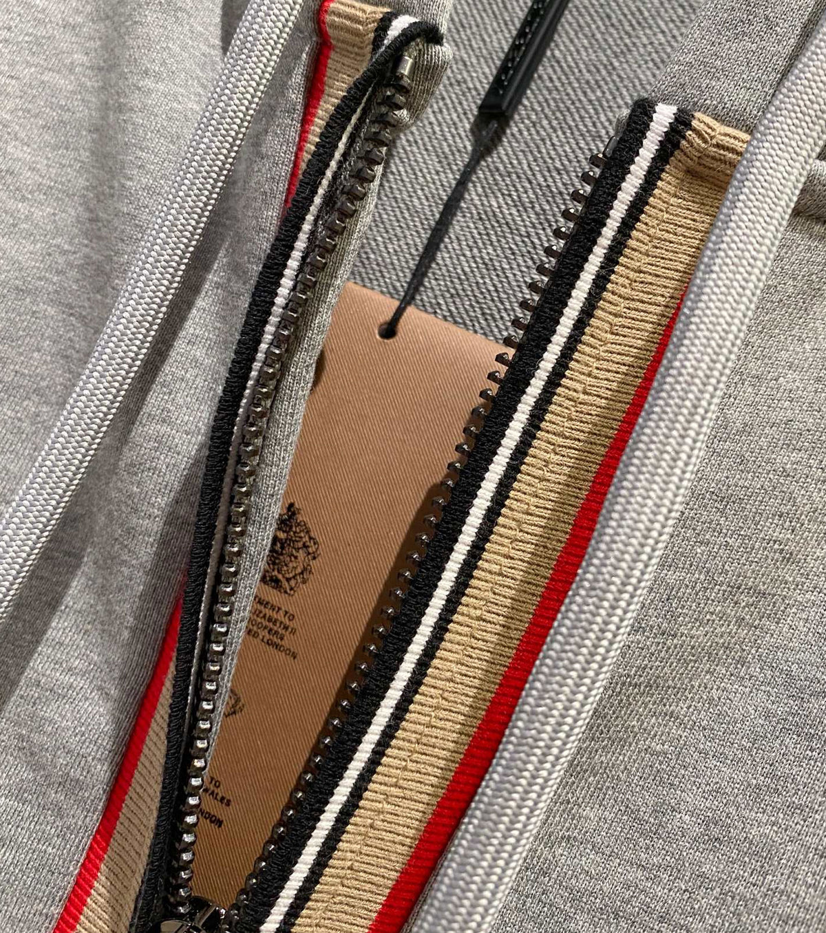 Icon Stripe Zip Hoodie