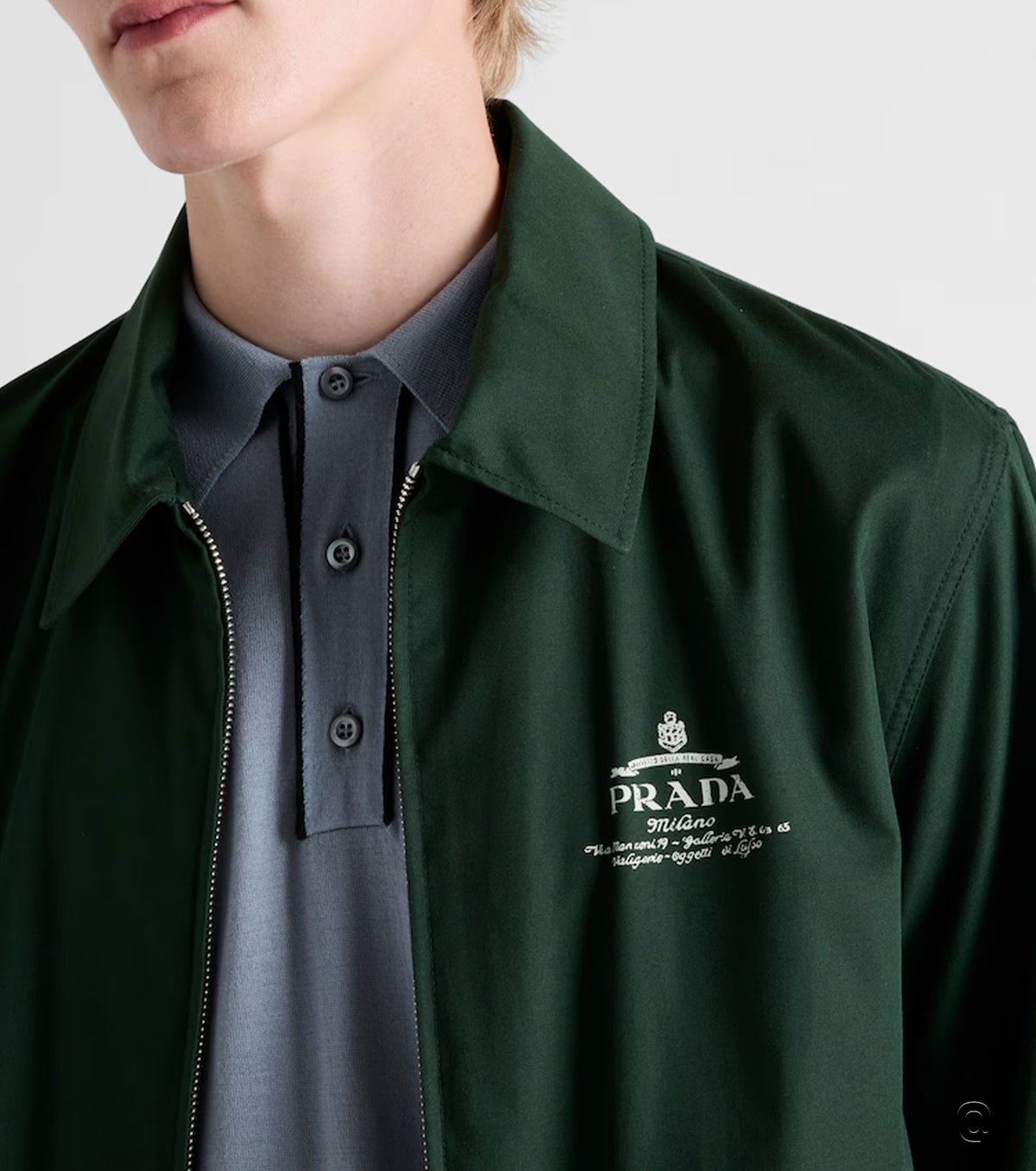 Cotton blend blouson jacket PRA8114