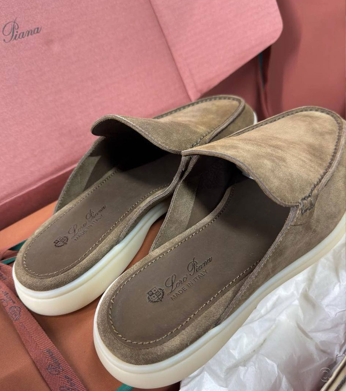 Summer Walk The Gift of Kings Loafer