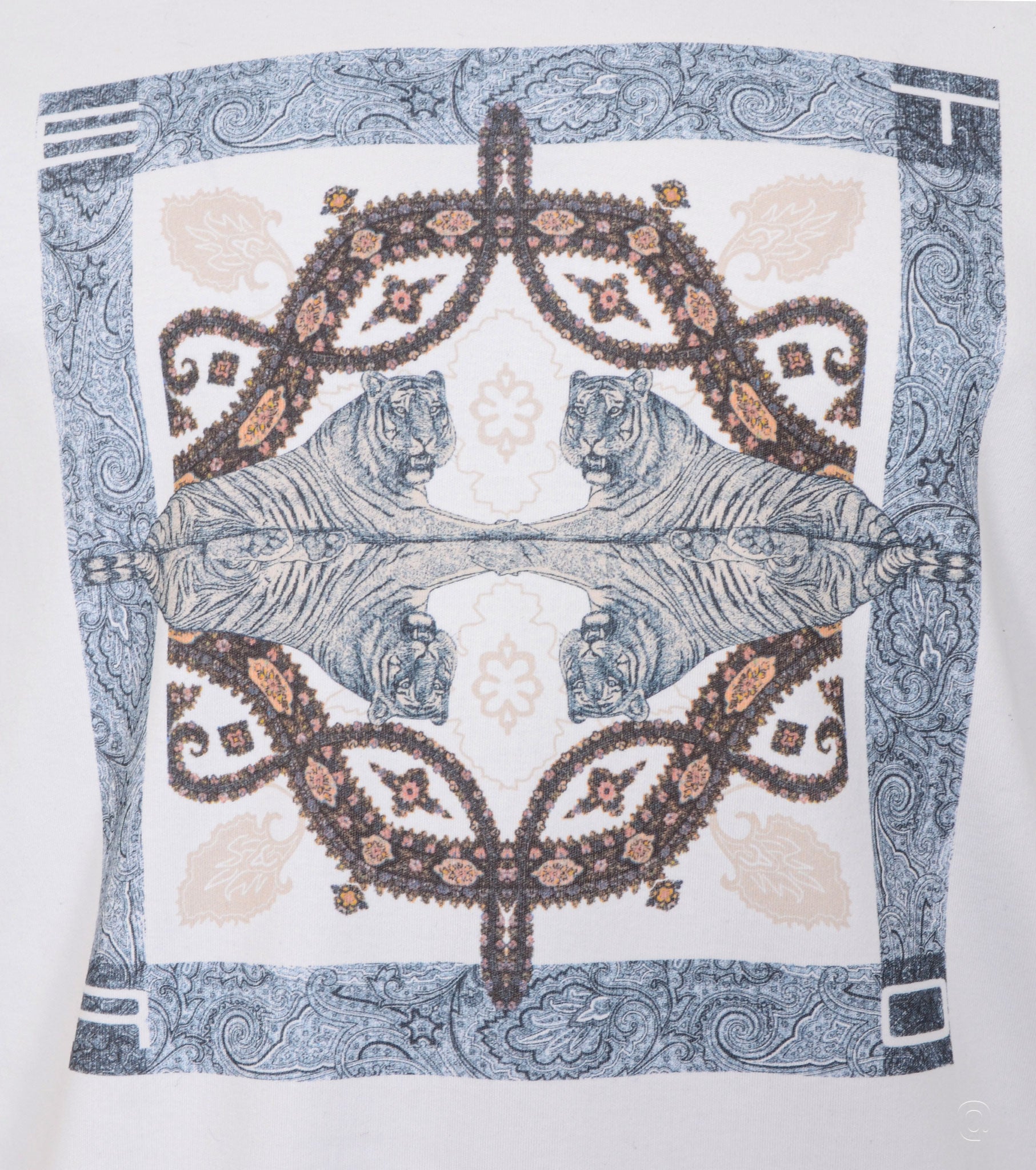 Men Cotton T-shirt