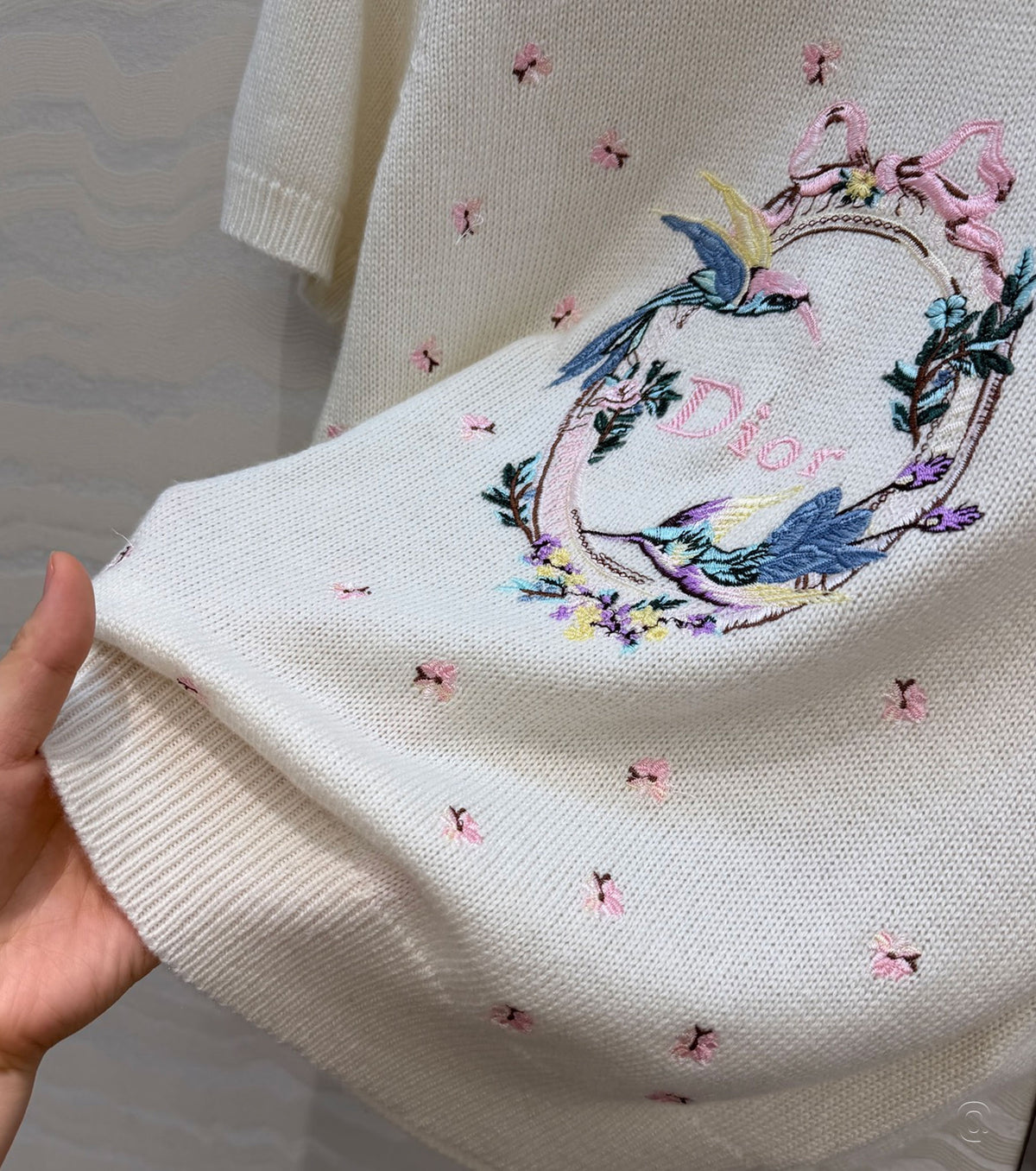 Qixi Embroidered Short-Sleeved Sweater